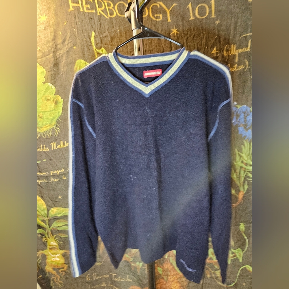 Vintage Union Bay V-neck Sweater